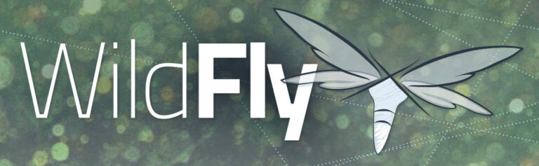 Wildfly